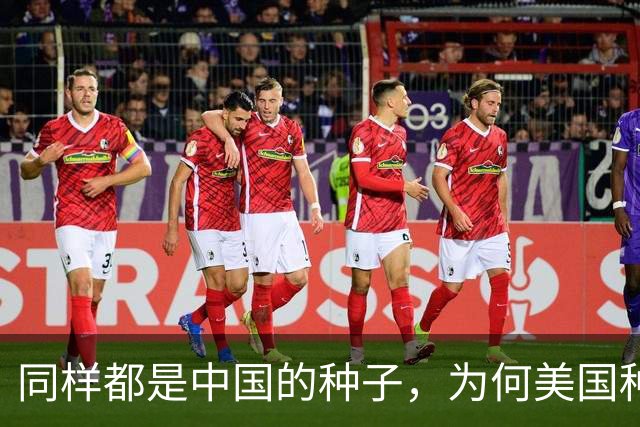 同样都是中国的种子，为何美国种出的水稻，亩产要比中国高？