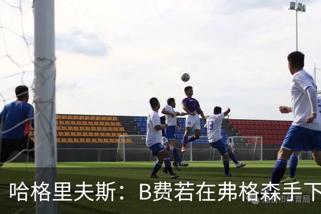 哈格里夫斯：B费若在弗格森手下说这话，就没机会再上场了