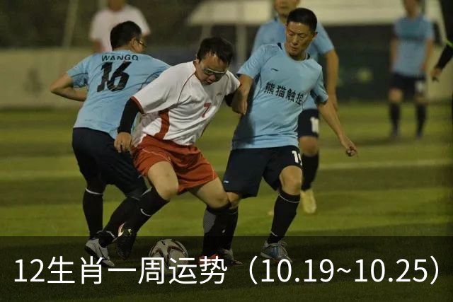12生肖一周运势（10.19~10.25）